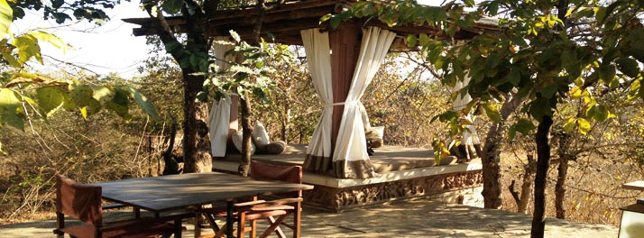 717/Taj Pashan Garh Panna National Park - Panna 13.jpg